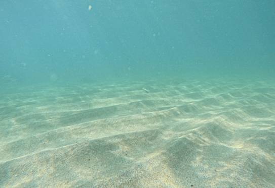 붉은바다거북이 산란했던 제주 중문색달해수욕장의 해저 지형. 붉은바다거북이 이곳 해변에 알을 낳은 이유로 태평양과 직결되는 위치, 수중에 바위가 적어 이동에 장애가 적은 점, 수심이 바로 깊어져 빨리 알을 낳고 바다로 가는데 도움이 되는 점, 적정한 모래 온도 등이 영향을 미친 것으로 추정된다. 해양과학시민조사단 촬영