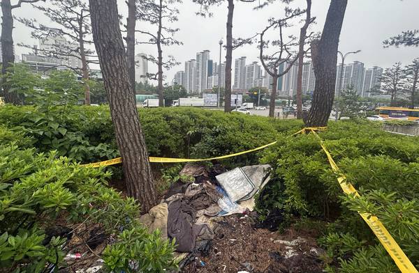 최근 수원시 장안구 정자동 한 도로 옆 교통섬 수풀 속에서 남성 노숙인으로 추정되는 백골 상태의 시신이 발견됐다. 2025.6.13 /목은수기자wood@kyeongin.com