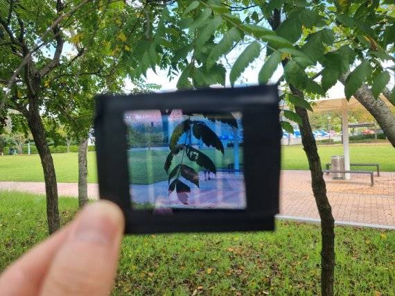 반투명 태양전지 모듈. UNIST 제공