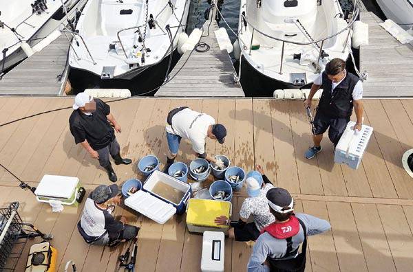 마리나 구역 내 유니클로 파크. 박호걸 기자