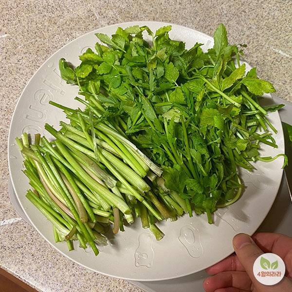 손질한 미나리