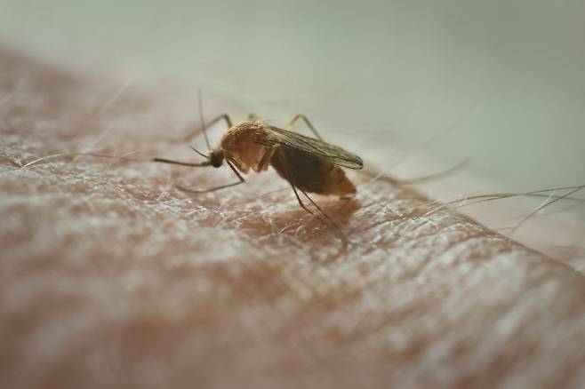 (사진=게티이미지코리아)