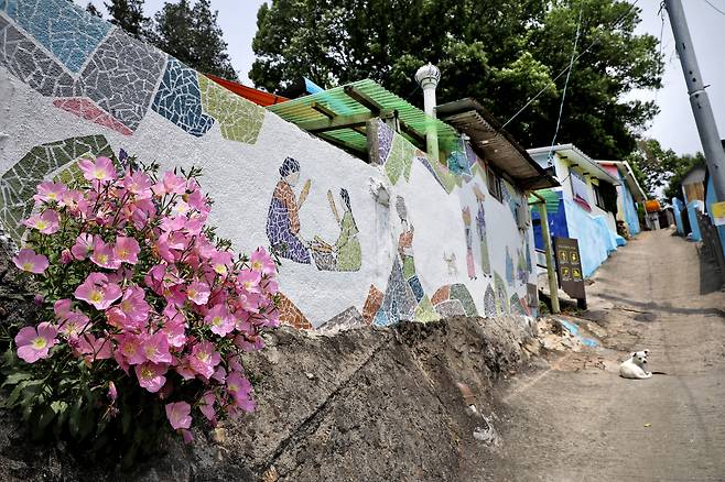 자만벽화마을은 6·25 때 피란민들이 정착해 살아온 동네 골목을 벽화로 꾸민 곳이다. 골목 탐험하듯 걷다보면 옥류 벽화마을, 낙수정 벽화마을까지 이어갈 수 있다. / 주민욱 영상미디어 기자