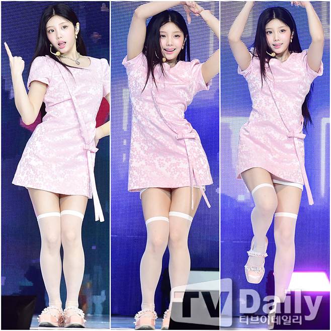 티브이데일리 포토