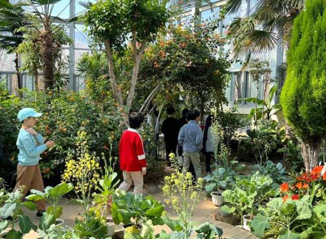 대구녹색학습원은 자연 생태를 접할 기회가 부족한 유아와 청소년을 대상으로 체험 중심 환경·생태 교육을 실시하고 있다. 초등학생들이