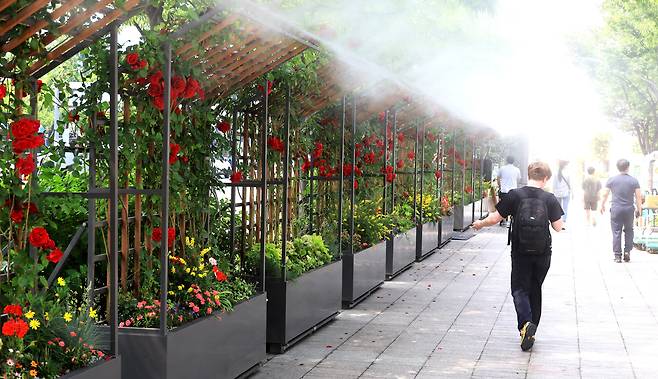 시청 앞 서울 광장에서 시민들이 물안개가 뿜어져 나오는 길을 걸으며 더위를 식히고 있다. /연합뉴스