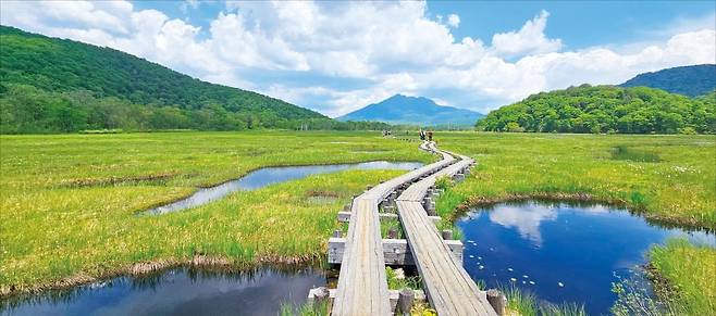 일본 오제습지 트레킹 코스. /하나투어 제공