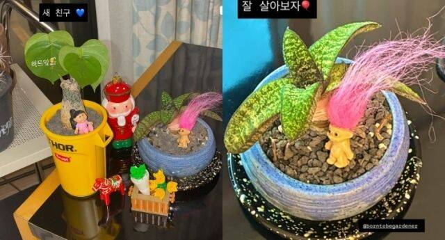 설현 소셜미디어