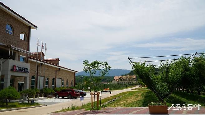 과일나라테마공원. 영동을 대표하는 포도, 사과, 배, 복숭아, 자두 응 다섯가지 과일을 테마로 한 공원으로 직접 수확하거나 맛볼 수 있다 영동|김재범 기자 oldfield@donga.com