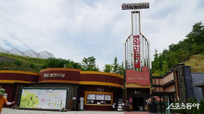 영동 레인보우힐링관광지의 영동와인터널. 길이 420m 터널형 테마 공간으로 현재 영동을 대표하는 특산품이 된 와인의 역사를 살펴보며 휴식할 수 있다 영동|김재범 기자 oldfield@donga.com