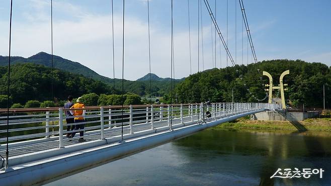 영동 양산팔경 중 6경인 송호관광지의 랜드마크 송호금강물빛다리. 길이 288.7m, 너비 2.5m 규모의 보도현수교로 전통악기 해금을 형상화했다 영동|김재범 기자 oldfield@donga.com