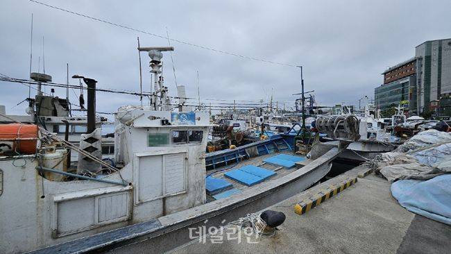 경북 포항시 구룡포항에 어선이 정박해 있다.(기사 내용과 관계 없음) ⓒ데일리안 장정욱 기자