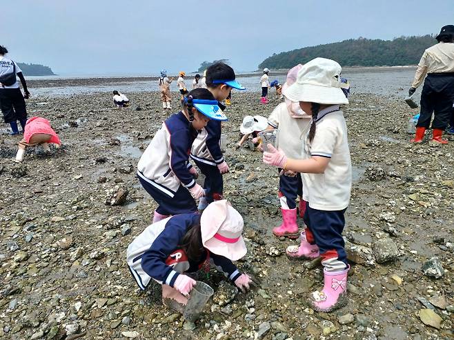 여수 갯벌 노을마을-갯벌 체험. 전라남도 제공