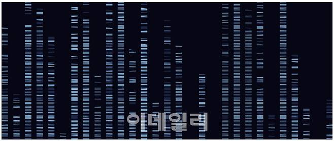전체 유전자 서열을 분석하는 WGS(Whole genome Sequencing). (제공=마크로젠)