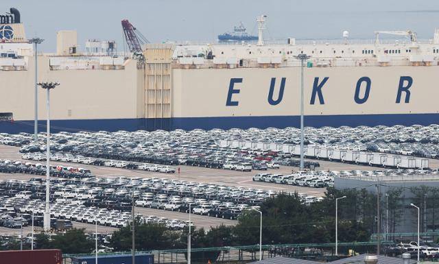 13일 경기 평택항에 수출용 자동차가 세워져 있다. 연합뉴스