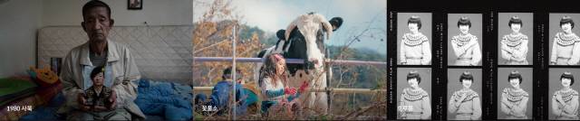 ▲ 영화 ‘1980 사북’, ‘꽃풀소’, ‘호루몽’ 스틸컷.