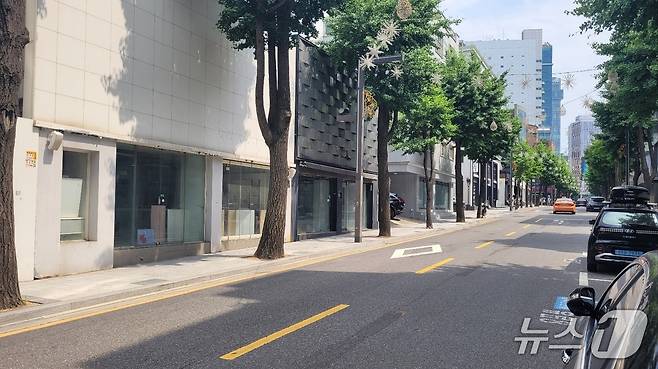 올해 1분기 공실률 41.6%를 기록한 서울 강남구 신사동 가로수길의 모습.2025.6.19/뉴스1 ⓒ News1 이정환 기자