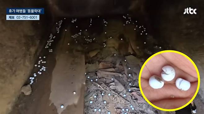 (JTBC 뉴스 갈무리)