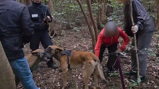 제주경찰청 채취견 디아블로·페르난도가 실종 노인을 발견한 모습 (사진, 제주경찰청)