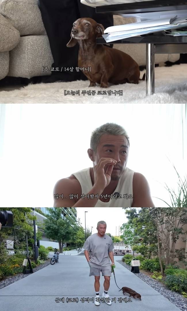 사진=추성훈 채널 영상 캡처