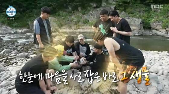 /사진= MBC '나혼자 산다' 방송화면