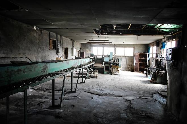 성광성냥 공장 내 축목부. 원목을 40cm 크기로 절단해 껍질을 벗기고 2.2mm 나무판으로 만든 후 잘게 썰어 건조기에 수분을 제거한 뒤 파라핀을 통해 성냥개비를 부드럽게 만드는 곳이다. /박정일 작가