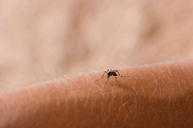 ⓒ게티이미지뱅크