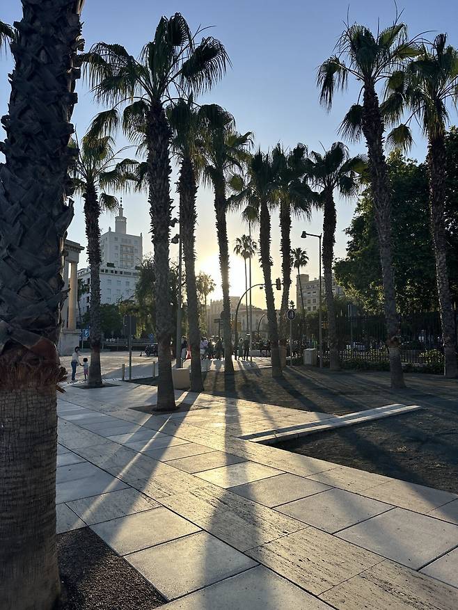 IMG_9958.jpeg 스압) 외노자의 말라가 세비야 방문기