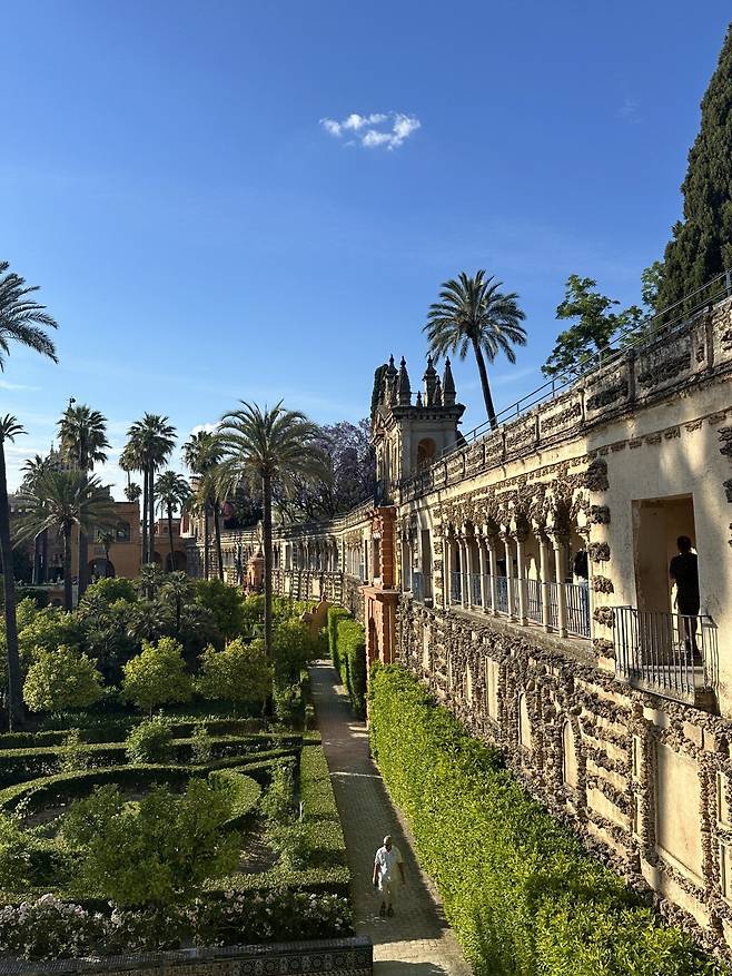 IMG_1572.jpeg 스압) 외노자의 말라가 세비야 방문기