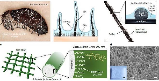 우상혁 중앙대 교수팀, 코털 모사한 공기 필터 개발. 네이처 캡처
