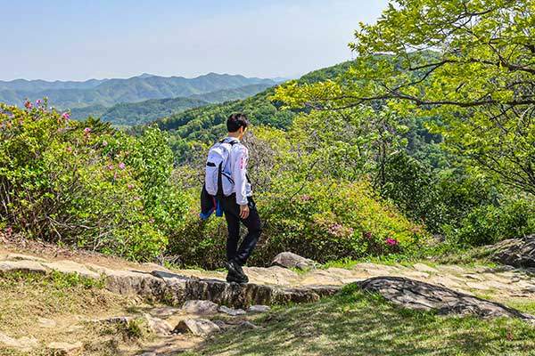 역사의 숨결 따라, 백제 부흥운동의 마지막 거점 보문산성으로 향하는 길.