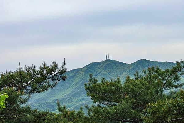 대전의 지붕 식장산과 정상 쉼터가 저 멀리 보인다.