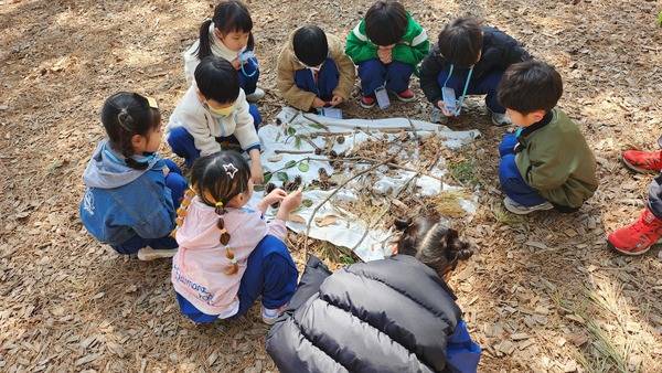 ▲ 서산 대산초등학교병설유치원(유아숲체험원)
