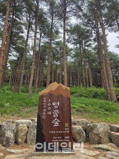 경남 함양의 삼봉산 금강소나무숲 입구에 설치된 대한민국 100대 명품숲 현판. (사진=박진환 기자)