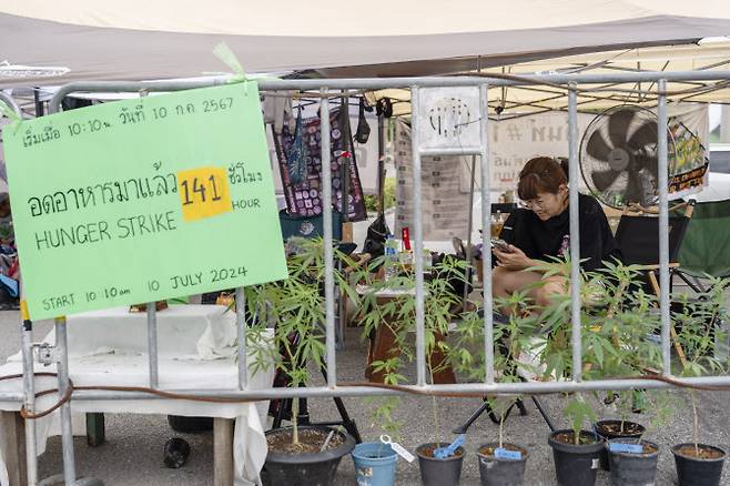 지난해 7월 태국 정부가 대마를 마약 리스트에 복원시키려고 시도하자 대마 합법화에 찬성하는 반대론자들이 정부 청사 밖에서 항의시위를 하고 있다. (사진=AFP)