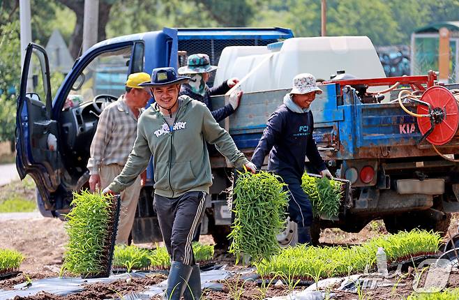 캄보디아에서 입국한 외국인 계절근로자들이 충북 괴산 연풍면의 한 농가에서 옥수수를 심기 위해 분주히 움직이고 있다.(괴산군 제공, 재판매 및 DB금지)/뉴스1