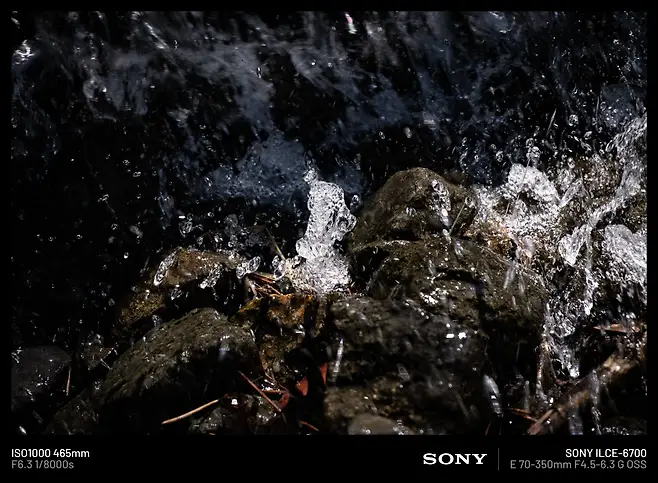 098ef376b3846df223ec98a213d3341d93f8f03333cf413125646c11