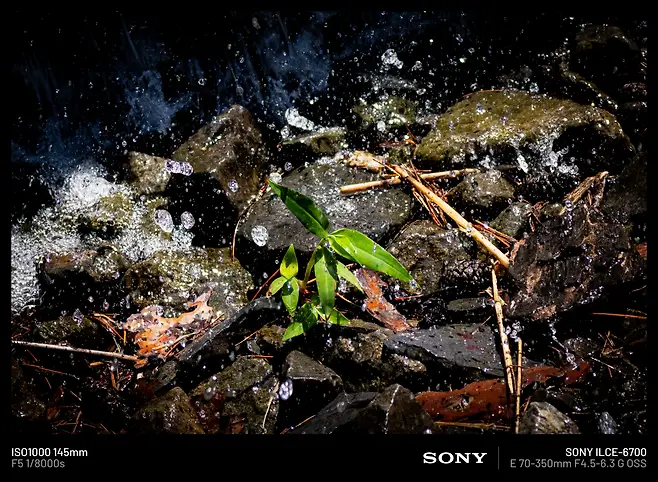 098ef376b3846eff20a8d3b706f11a3952541435cbb88b2bee11