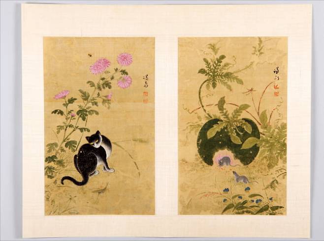 수리·복원을 마친 겸재 정선의 <화훼영모화첩> 중 ‘추일한묘’(가을날 한가로운 고양이·왼쪽)와 ‘서과투서’(수박과 도둑쥐). 간송미술문화재단 제공