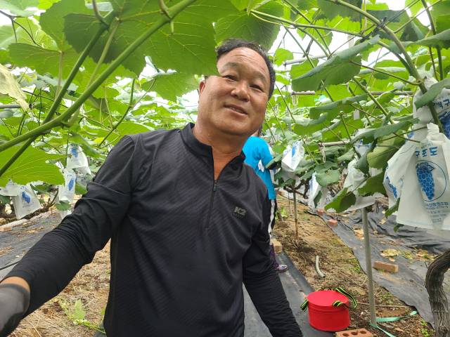 ▲박정근 포도농장 사장은 "과수는 손이 많이 가는 농사라 작업을 한꺼번에 함께 하는 게 효율성이 있다"며 "가장 할 일이 많은 때에 외국인 유학생들이 와줘서 큰 도움이 됐다"며 활짝 웃었다. ⓒ프레시안