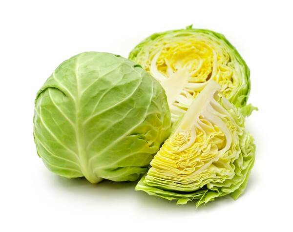 shutterstock