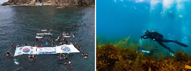 독도 수중 정화활동 참가자들이 지난 15일 독도 앞바다에서 태극기를 들고 기념촬영을 하고 있다(왼쪽 사진). 경향신문 최미랑 기자가 같은 날 독도 수중 정화활동 참가자들과 함께 독도 앞바다에 입수해 수중 환경을 살펴보고 있다. 대한잠수협회 제공