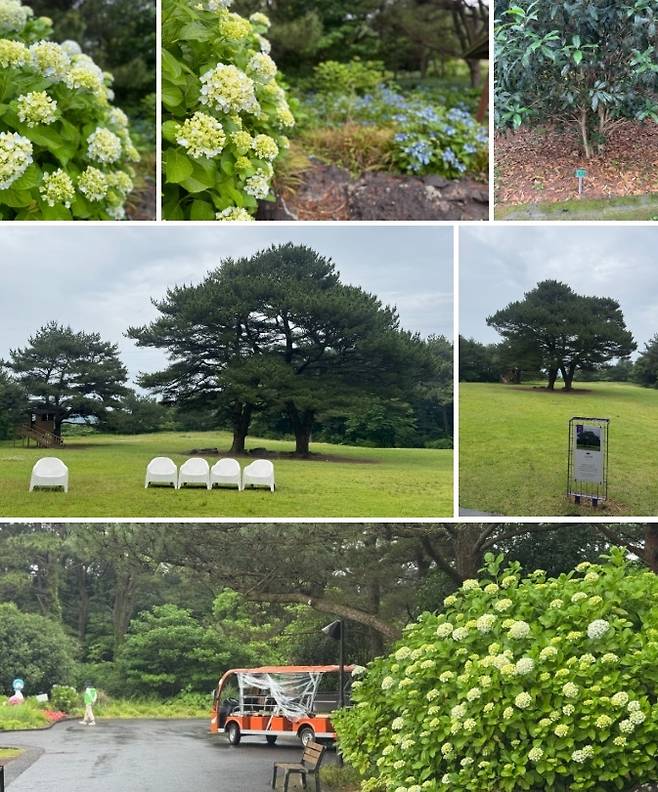 제주 최초 사립수목원 상효원 / 사진=홍지연 여행+ 기자