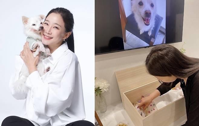 김하영 소셜네트워크서비스 계정