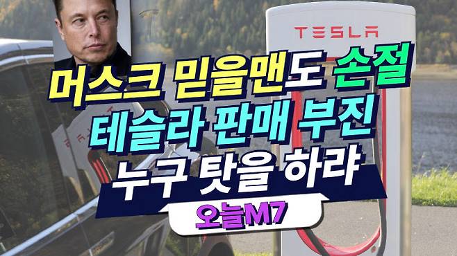 27일 이데일리 증권시장부 유튜브 ‘주톡피아’.