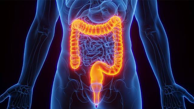장은 '제2의 뇌'로 불릴 정도로 인체 건강에 중요한 역할을 한다|출처: 클립아트코리아