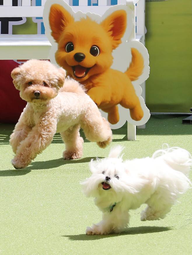 사진=남강호 기자