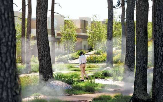 1등급 소나무숲이 펼쳐진 정원 산책로.