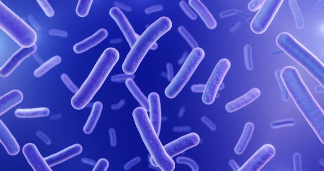 항생제에 내성을 가진 이른바 ‘슈퍼세균’에 감염되는 CRE 감염증의 국내 신고 건수가 지난해 4만 건을 넘어섰다.