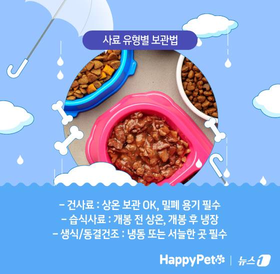 ⓒ News1 김지영 디자이너